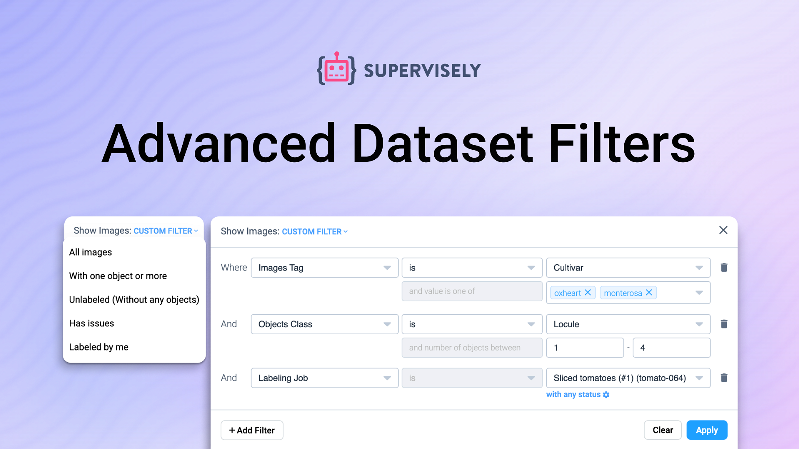 Introducing Advanced Dataset Filters for Efficient Data Management | Supervisely Tutorial