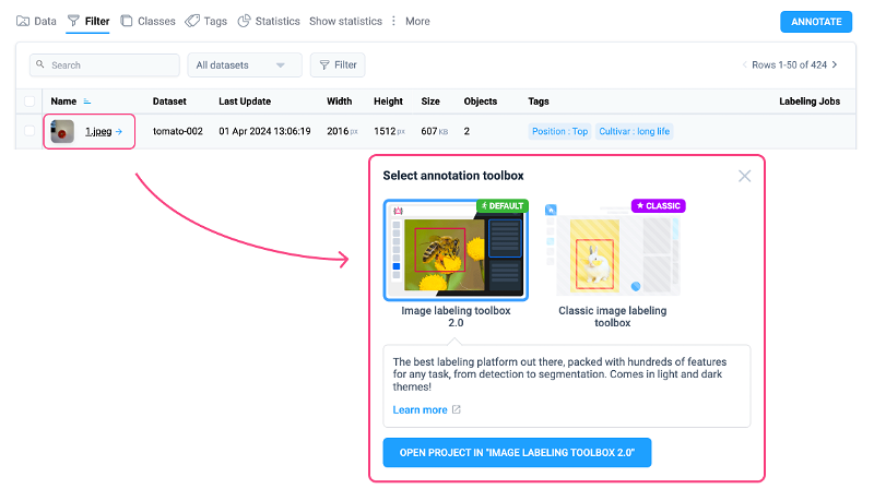 Quick data preview in Image Annotation Tool