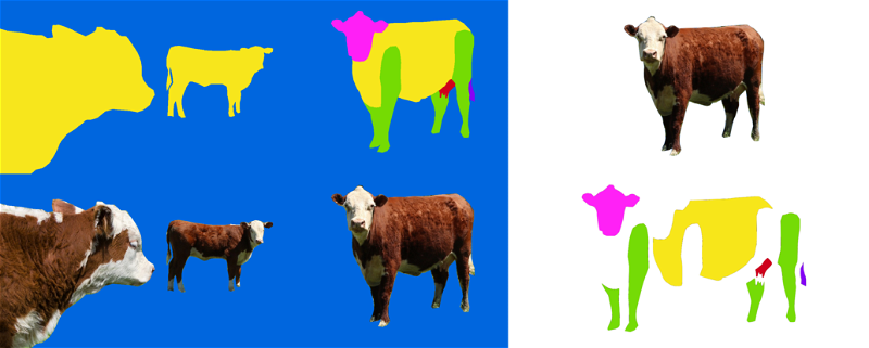  Masks of parts of cows created using the Splitting annotation technique