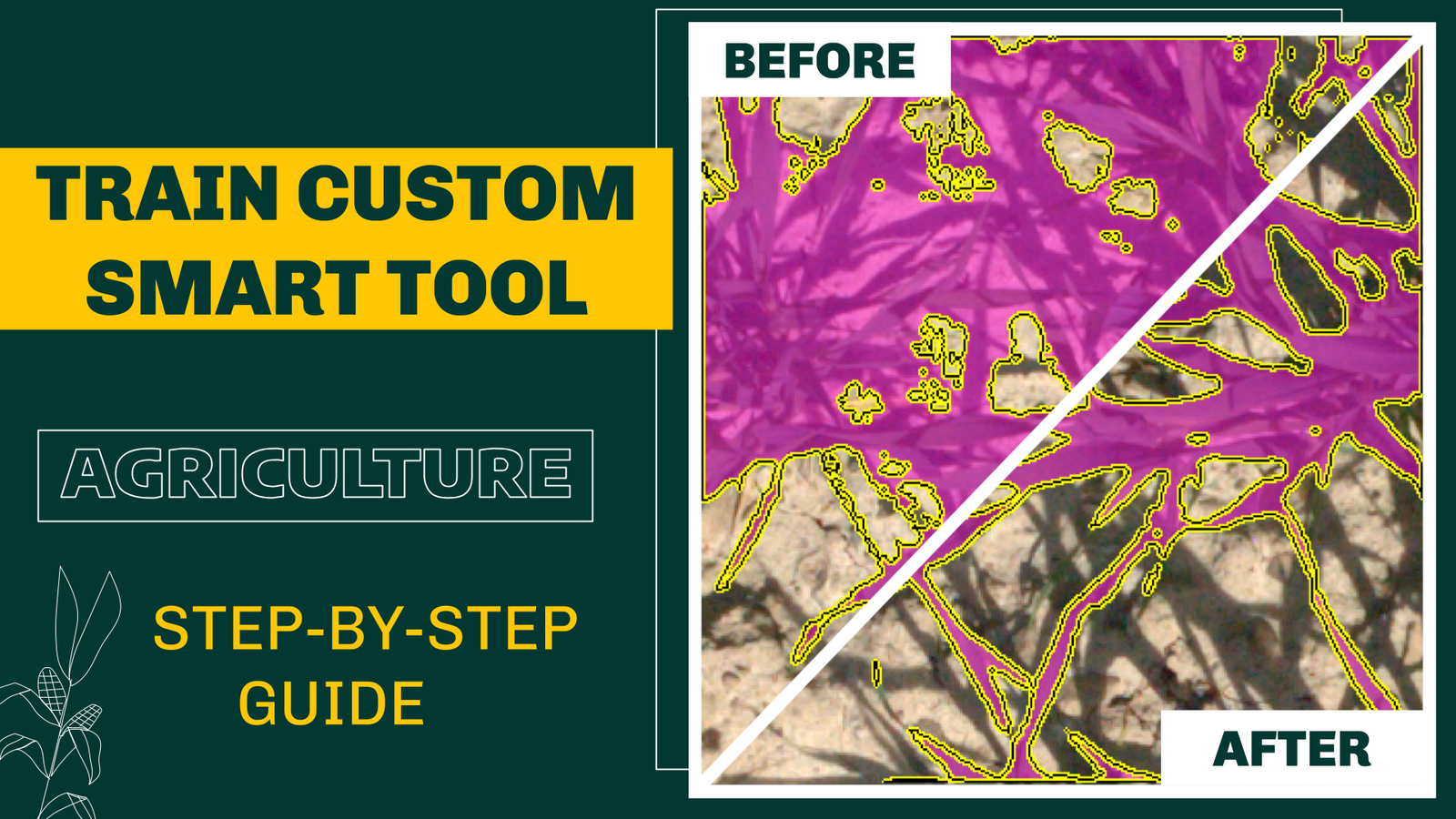 Automate manual labeling with custom interactive segmentation model for agricultural images