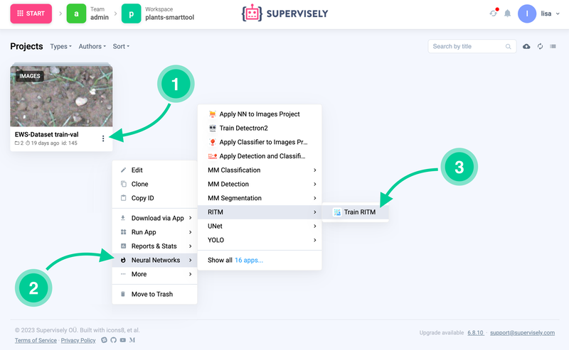 How to run the RITM training App from your custom training dataset