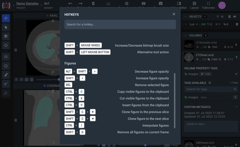 Hotkeys of the DICOM labeling toolbox