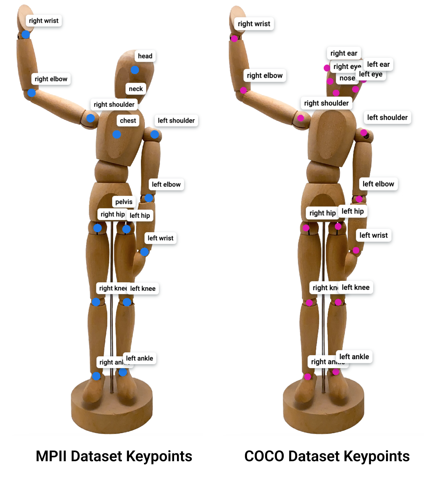 Visualization of the pose estimation results based on AggPose-L on COCO...  | Download Scientific Diagram