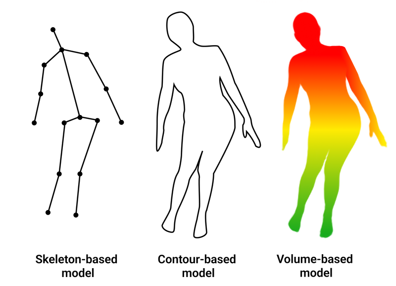 Human body models