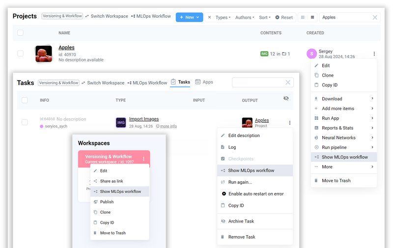 Entry Points into the Workflow