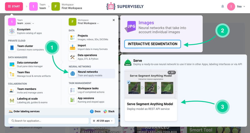 Go to Start → Neural Network → Interactive Segmentation.