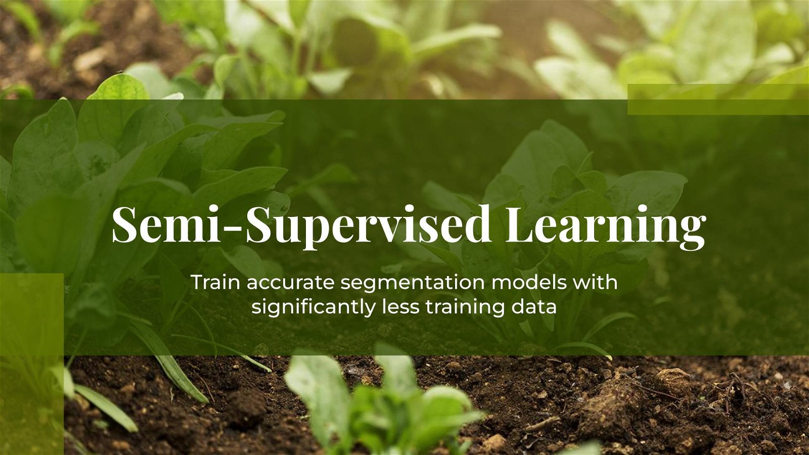 How to Train a Model with Only 62 Labeled Images using Semi-Supervised Learning
