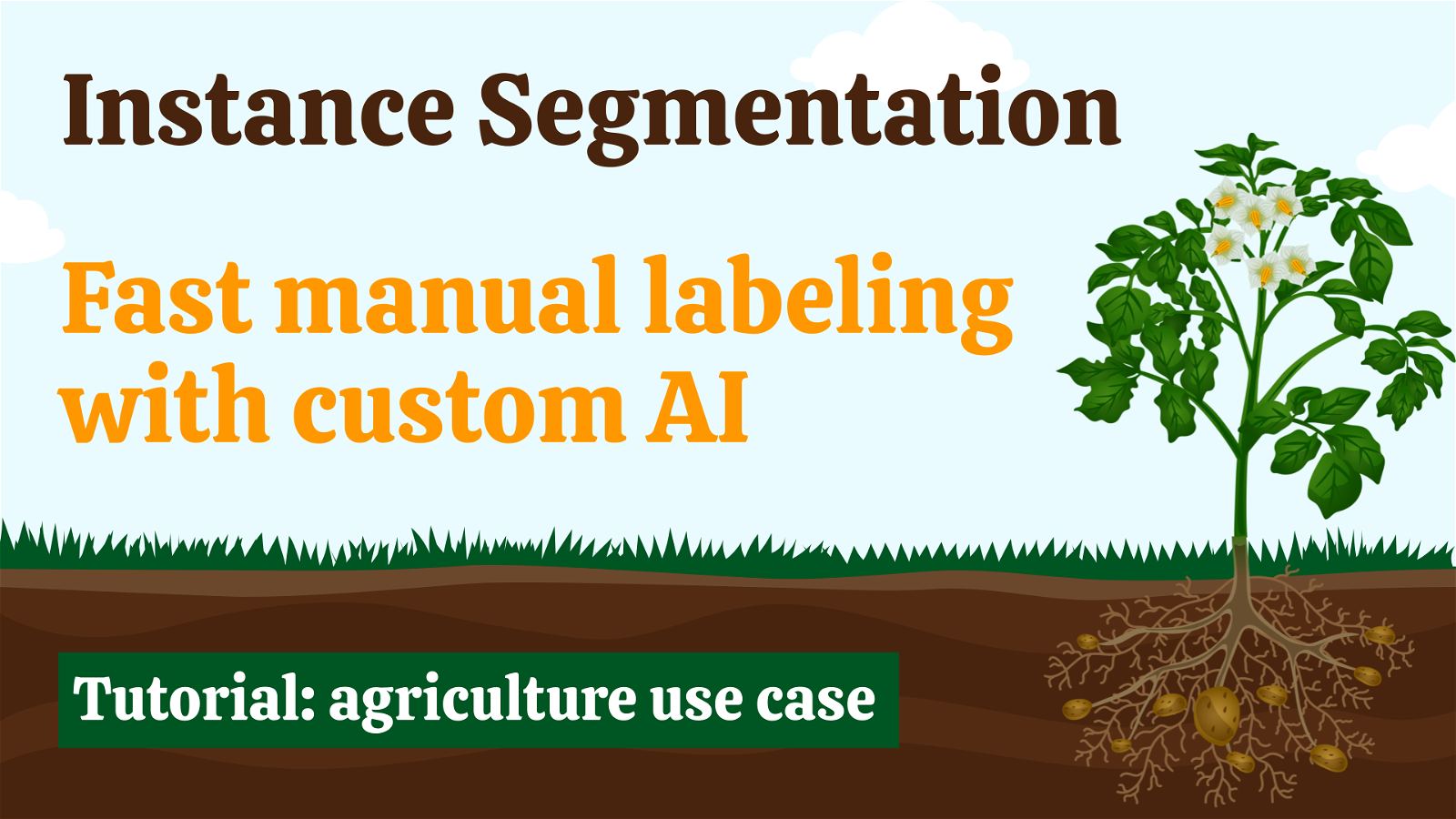 Guide to Training Custom Interactive Instance Segmentation Model for Agricultural Images