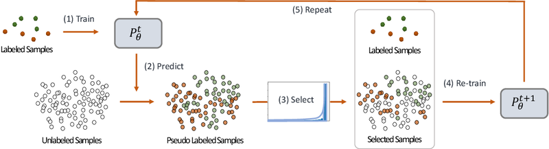 The model is (1) trained on the labeled samples, then this model is used to (2) predict and assign pseudo-labels for the unlabeled samples. Then the distribution of the prediction scores is used to (3) select a subset of pseudo-labeled samples. Then a new model is (4) re-trained with the labeled and pseudo-labeled samples. This process is (5) repeated by re-labeling unlabeled samples using this new model. [2]