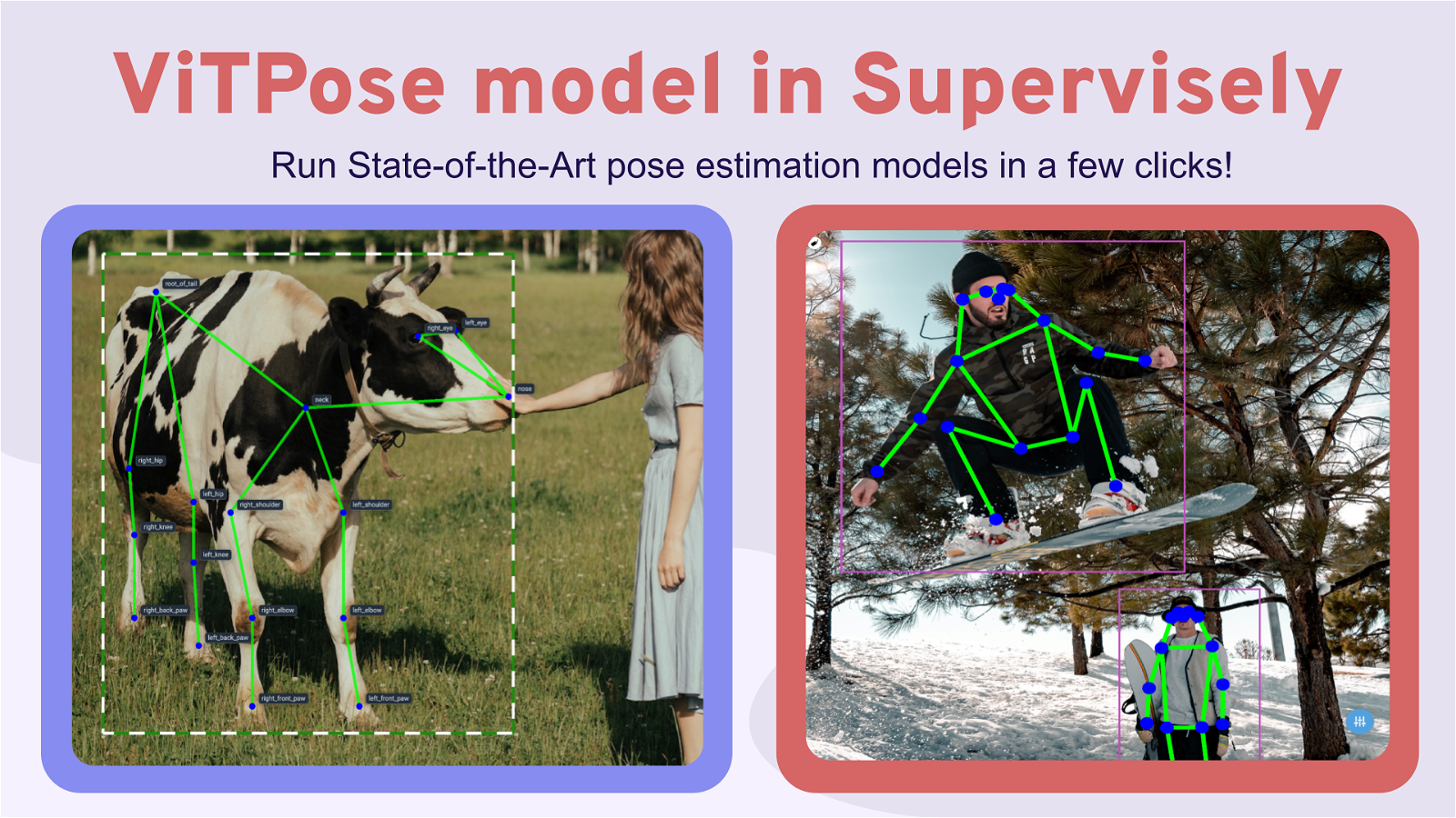 ViTPose — How to use the best Pose Estimation Model on Humans & Animals